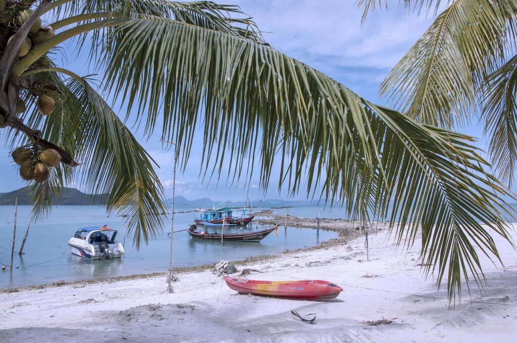 best coffee shops in Ko Samui