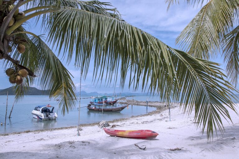 best coffee shops in Ko Samui