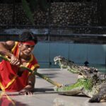 best coffee shops in Phuket